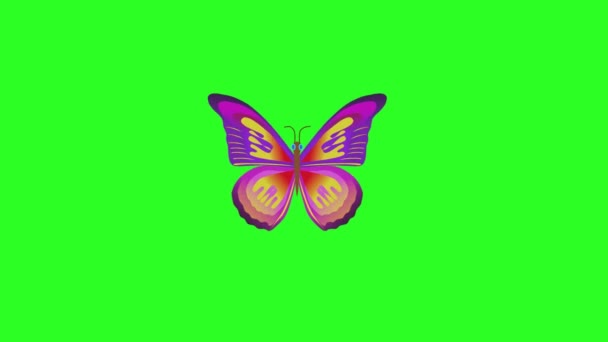 2,261 Butterfly animation Videos, Royalty-free Stock Butterfly animation  Footage | Depositphotos