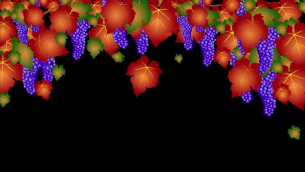 Ripe Blue Grapes Falling Yellow Brown Green Autumn Leaves Animation — Stock Video