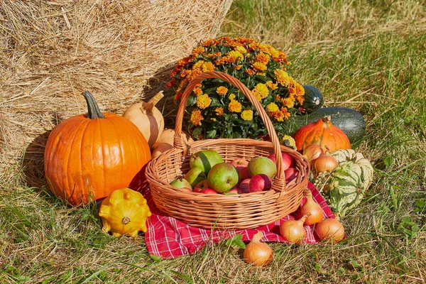 Still Life Autumn Fruits Basket Red Tablecloth Pumpkins Zucchini Apples — Stock Photo, Image