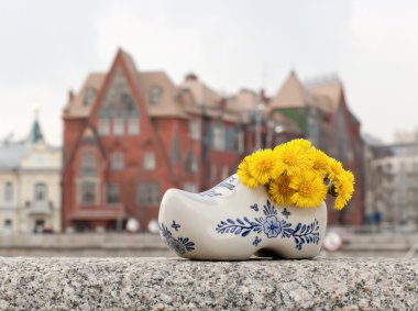 Hollanda takunya ile sarı çiçek