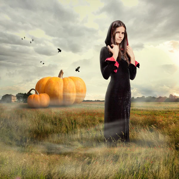 Menina jovem vestindo traje de bruxa, tempo de Halloween — Fotografia de Stock