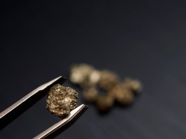 Cımbızlar koyu arka planda altın külçe tanecikleri ve seçici bir odak noktası tutuyor. Boşluğu kopyala.