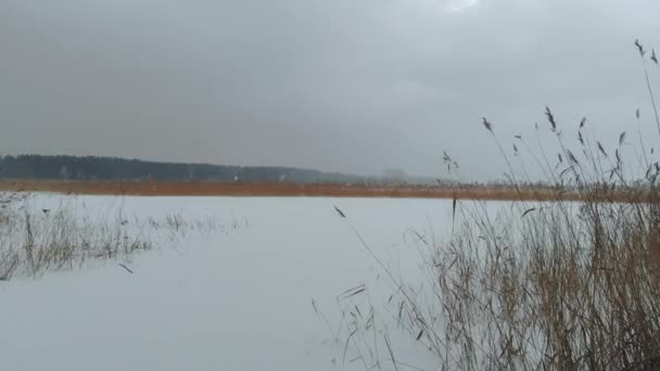 大雪の飛行中に背景に雪と古代の村で覆われた凍結湖へのドローンビュー. — ストック動画
