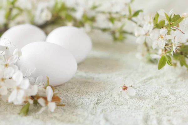Drei weiße Eier auf hellgrünem Stoff, umgeben von einem Zweig Vogelkirsche mit weißen Blütenblüten. Selektiver Fokus auf das Frontei. — Stockfoto