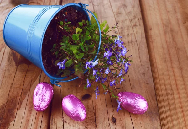 Blue rustic bucket with spring flowers and Easter eggs on wooden background — Stock Photo, Image