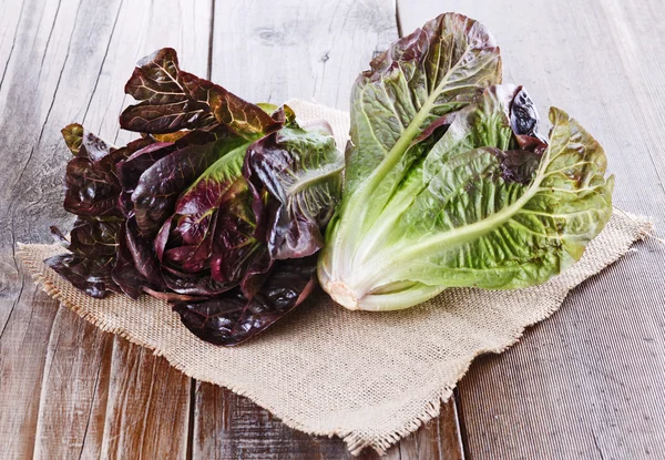 Red cos lettuce on rustic wooden background — Stock Photo, Image