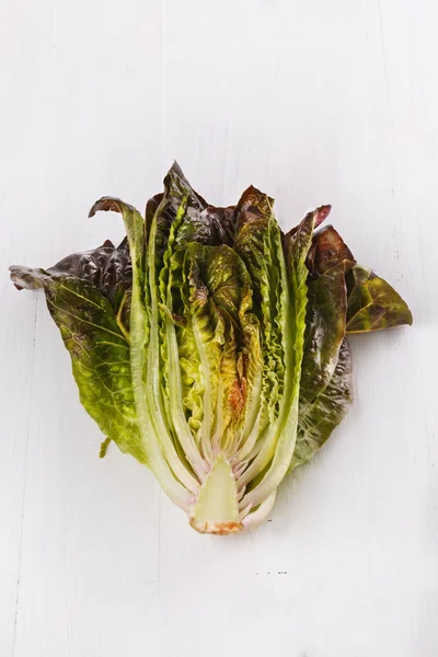 Red cos lettuce on white wooden background — Stock Photo, Image