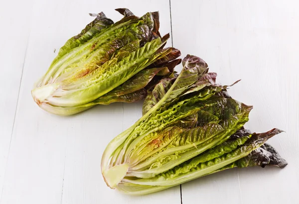 Red cos lettuce on white wooden background — Stock Photo, Image