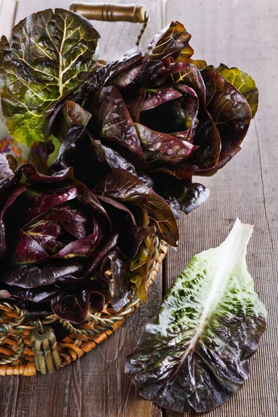 Красный кос салат на деревянном фоне — стоковое фото