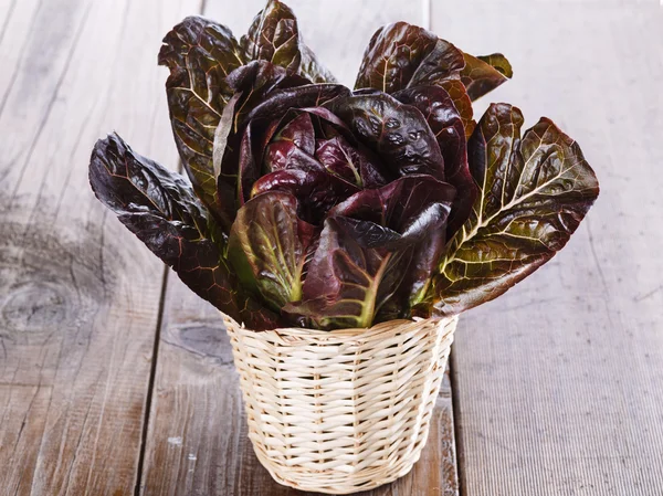 Red cos lettuce on wooden background — Stock Photo, Image