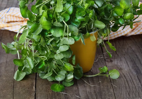 Bunch of watercress on a rustic wooden background — Stock Photo, Image