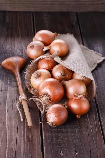 Cipolle marroni su uno sfondo di legno scuro rustico — Foto Stock