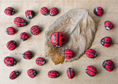 kuru yaprak ve ahşap zemin üzerinde ladybird