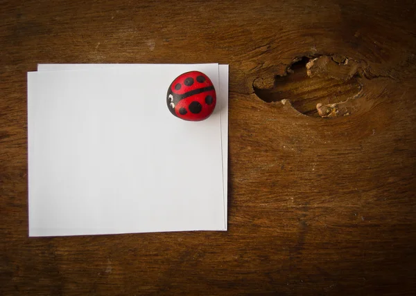 Leaf ladybird and paper — Stock Photo, Image