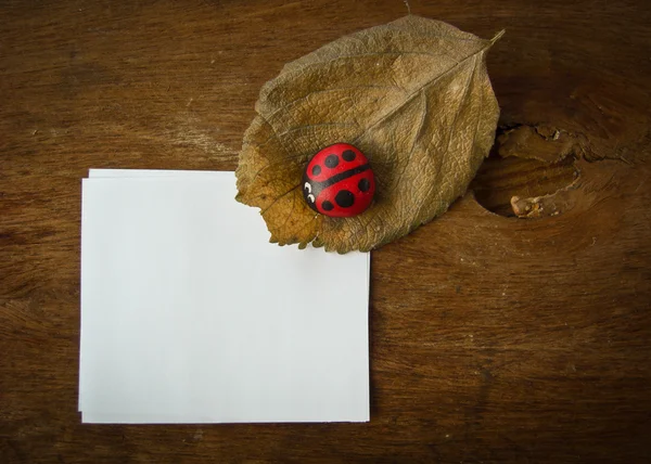 Dry leaf ladybird and paper — Stock Photo, Image