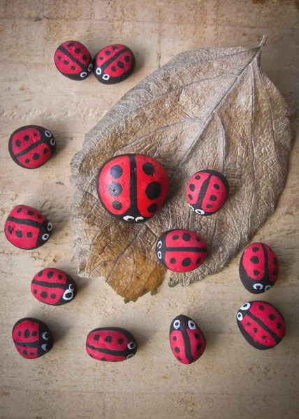 kuru yaprak ve uğur böceği