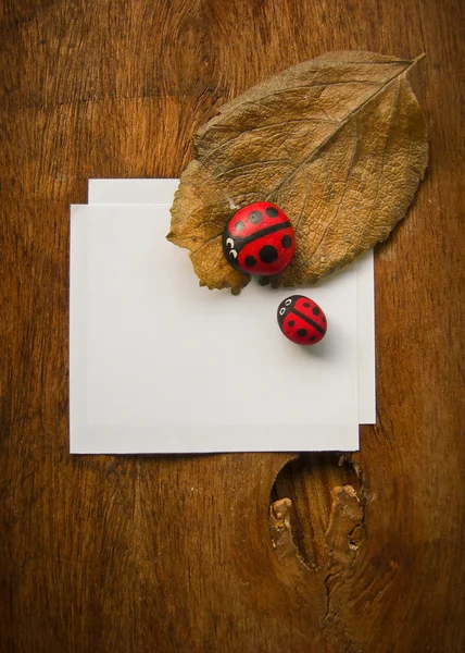 Dry leaf ladybird and paper — Stock Photo, Image