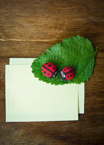 Leaf ladybird and paper — Stock Photo, Image