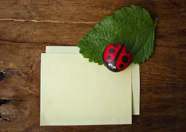 Ladybird and paper — Stock Photo, Image