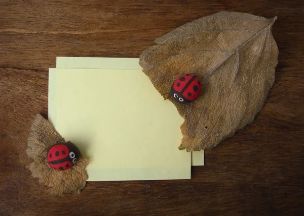 Dry leaf ladybird and paper — Stock Photo, Image