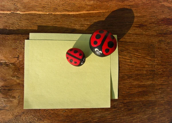 Ladybird and paper — Stock Photo, Image