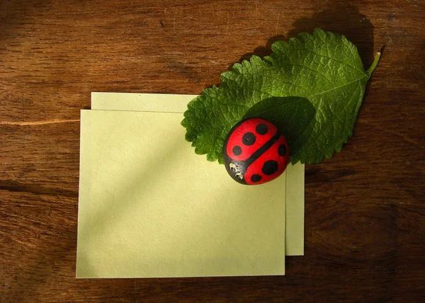 Ladybird and paper — Stock Photo, Image