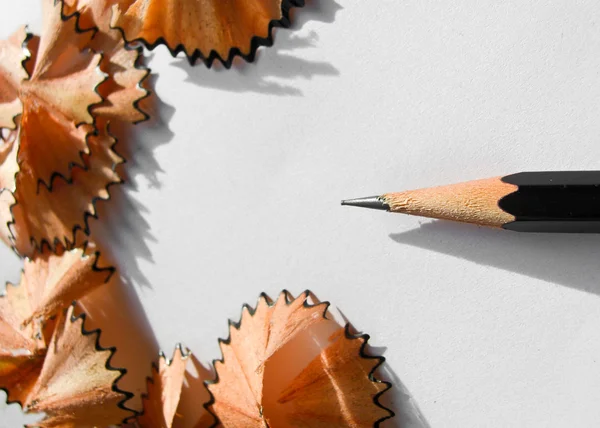 Pencil shaving — Stock Photo, Image