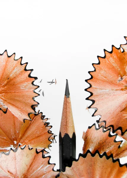 Pencil shaving — Stock Photo, Image