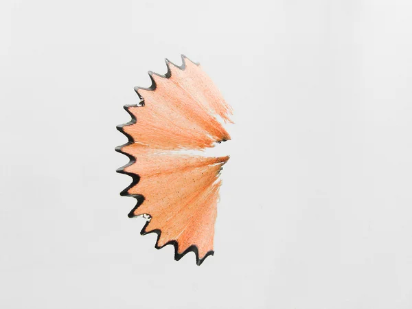 Pencil shaving — Stock Photo, Image