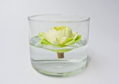 water lily in vase clipart
