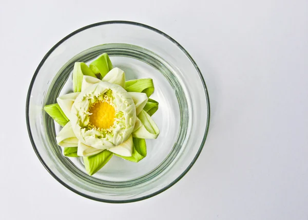 Water lily in vase — Stock Photo, Image