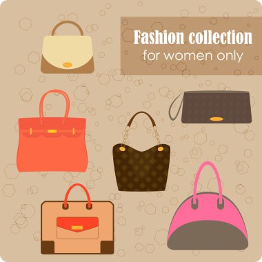 kadın moda koleksiyonu çanta