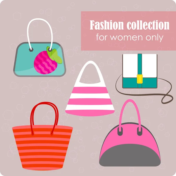 Women's fashion collection of bags — Stock Vector