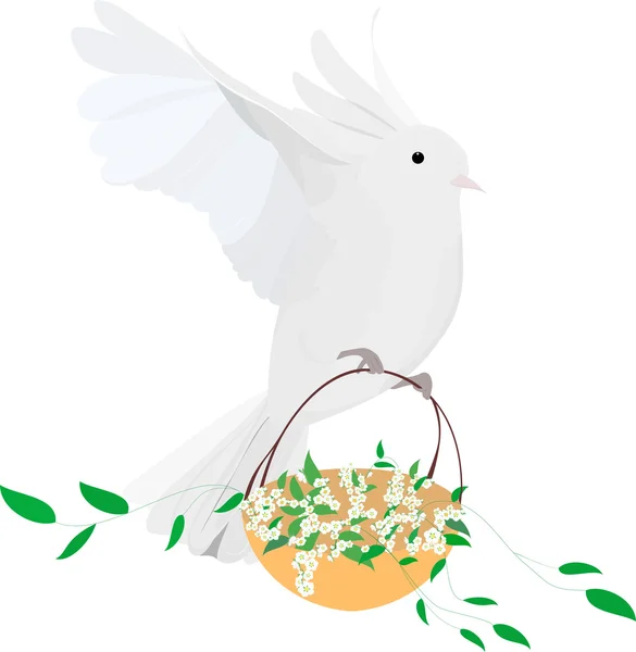 Mouche des colombes — Image vectorielle