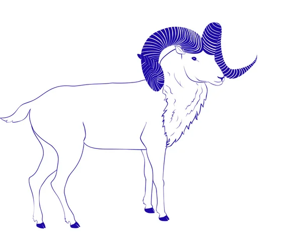 Chèvre ou bélier à corne longue — Image vectorielle