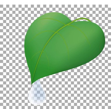 Yeşil yaprağın üzerindeki şeffaf çiy damlası şeffaf arkaplanda izole edilmiş. Vektör gerçekçi damla illüstrasyonu.