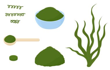 Spirulina seaweed algae plant, dried powder and capsules isolated on white. Vector illustration. clipart