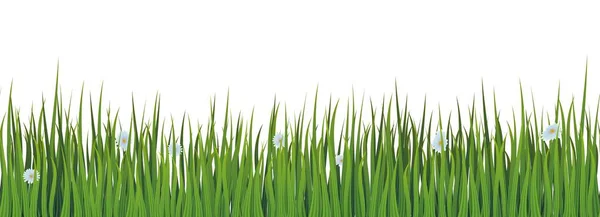 Groene Grasweide Met Kleine Witte Bloemen Naadloze Rand Vector Patroon — Stockvector