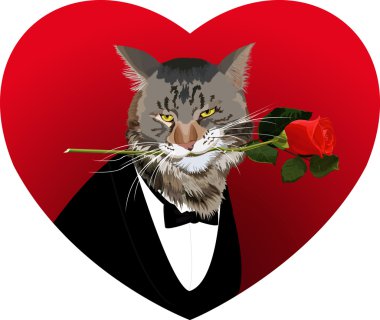 Kalp şekli, kedi ve kırmızı gül