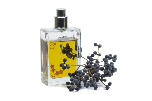 Flacone di profumo, accessorio personale, odore profumato aromatico — Foto Stock