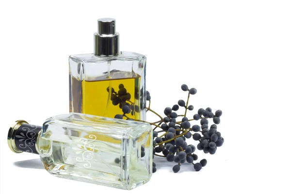 Bottle of perfume, personal accessory, aromatic fragrant odor — Stock Photo, Image