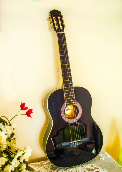 Guitarra Melodia Música Baixo Flores Guitarra — Fotografia de Stock