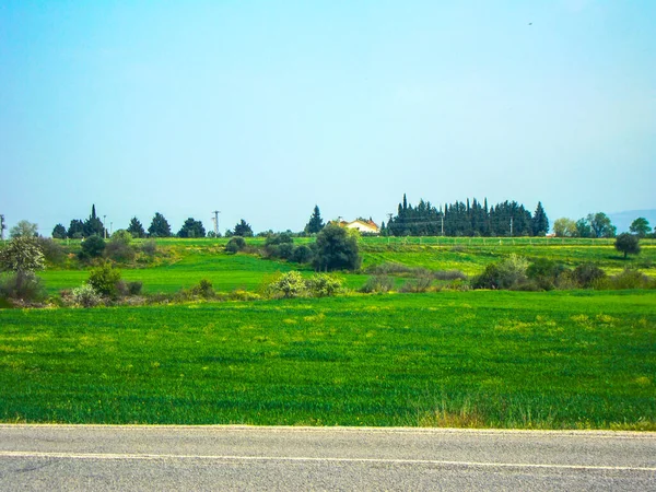 Boerderij Boerderij Groen Gras Groen Bomen Veld — Stockfoto