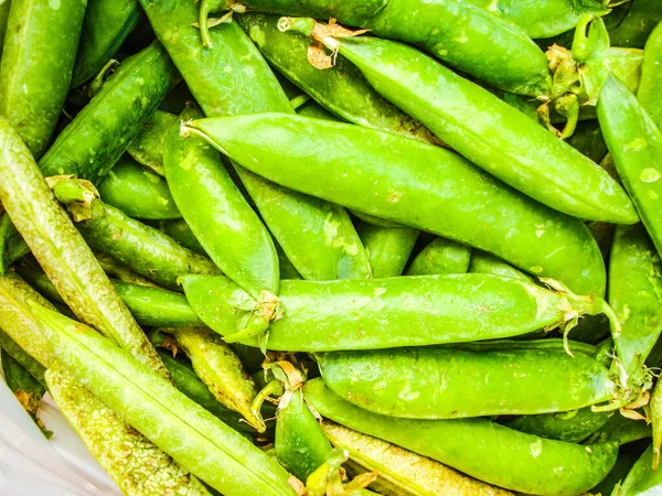 Pois Légumes Verts Champ Pousse Cuisine Méditerranéenne Légumes — Photo