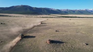 Bozkırda birkaç kamyon geziyor. Yüksek kalite 4k görüntü