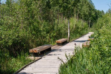 Yazın sulak bir arazide tahta banklar boyunca uzanır..