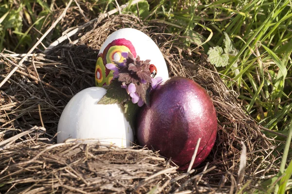 Easter Eggs in Bird's nest — Stock Photo, Image