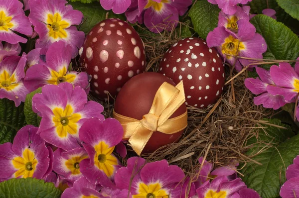 Easter eggs and violets — Stock Photo, Image