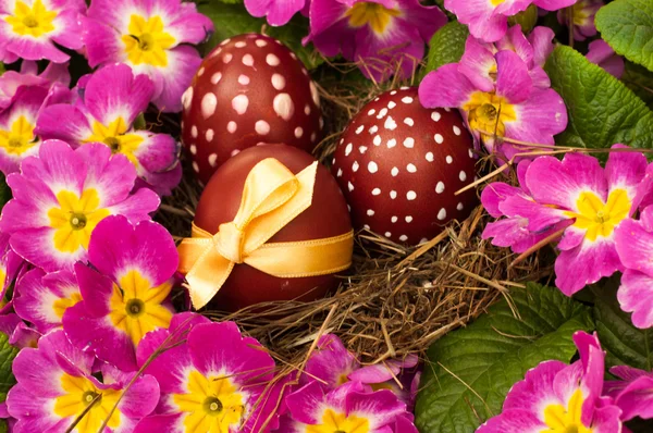 Easter Eggs on bird's-nest — Stock Photo, Image