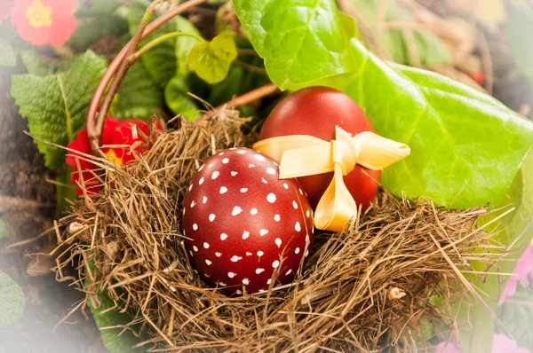 Easter Eggs on bird's-nest — Stock Photo, Image